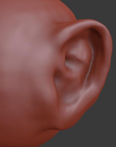 Ear preview image