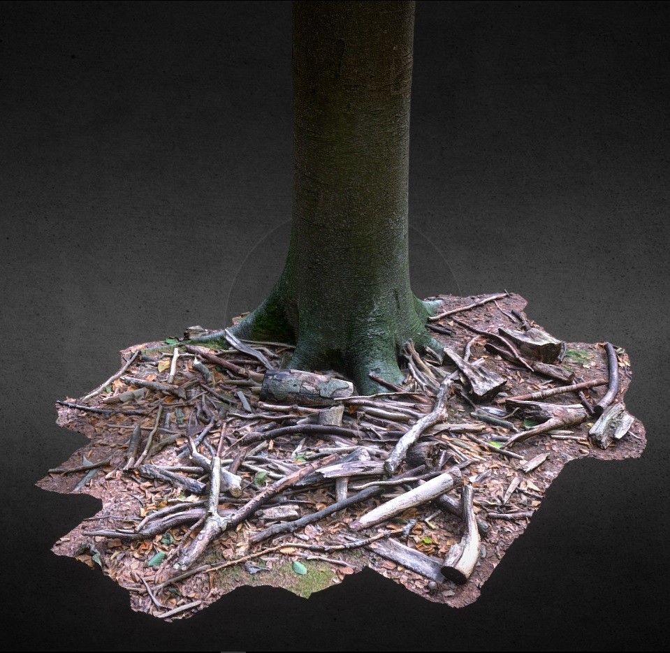 Tree with a pile of branch preview image 1