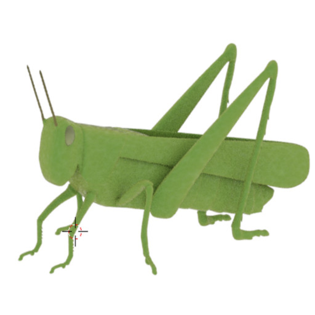 Criquet preview image 1