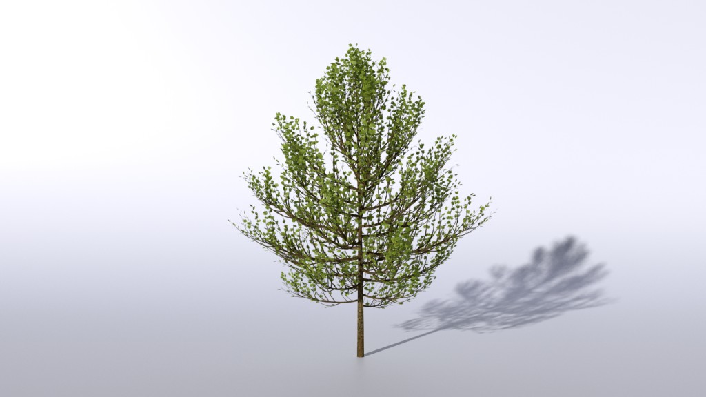 Tree preview image 4