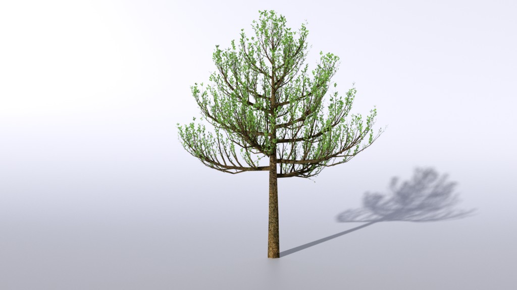 Tree preview image 6