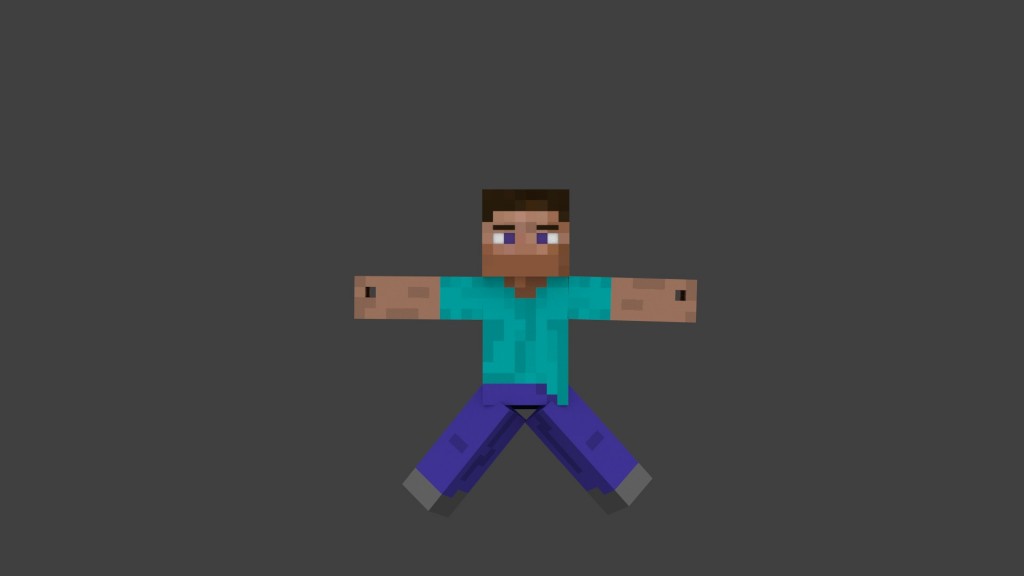 steve rig  preview image 1