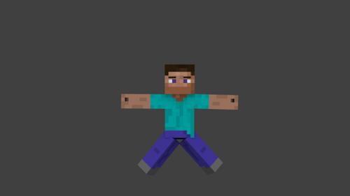 steve rig  preview image