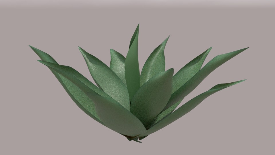Agave attenuata preview image 1