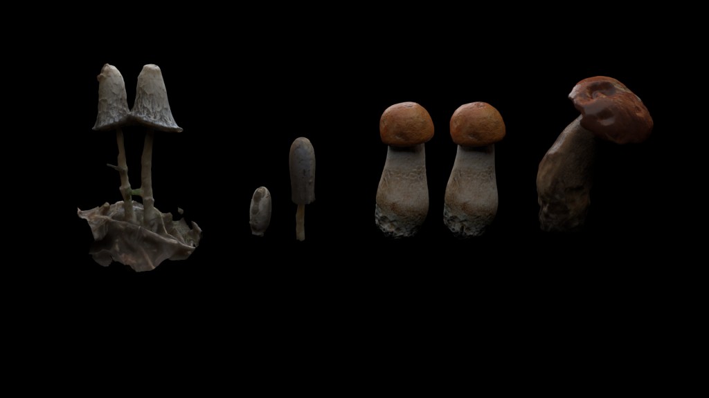 Mushrooms preview image 1