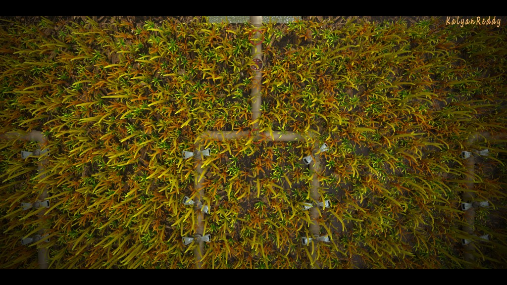 Garden with Sprinklers in it. preview image 2