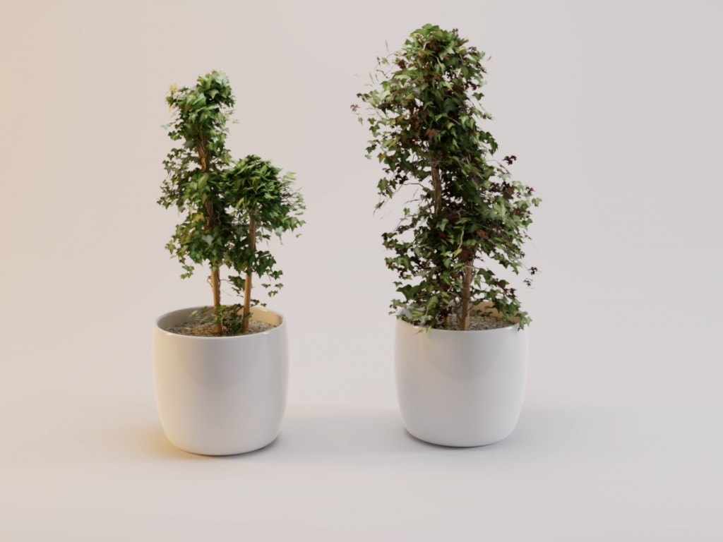 Plant preview image 1