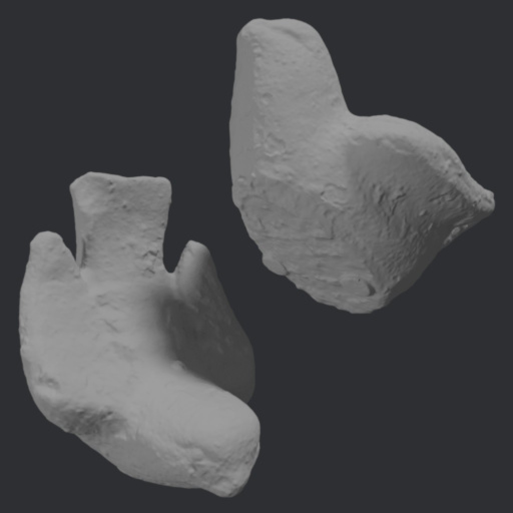 Weathered Concrete Bird preview image 2