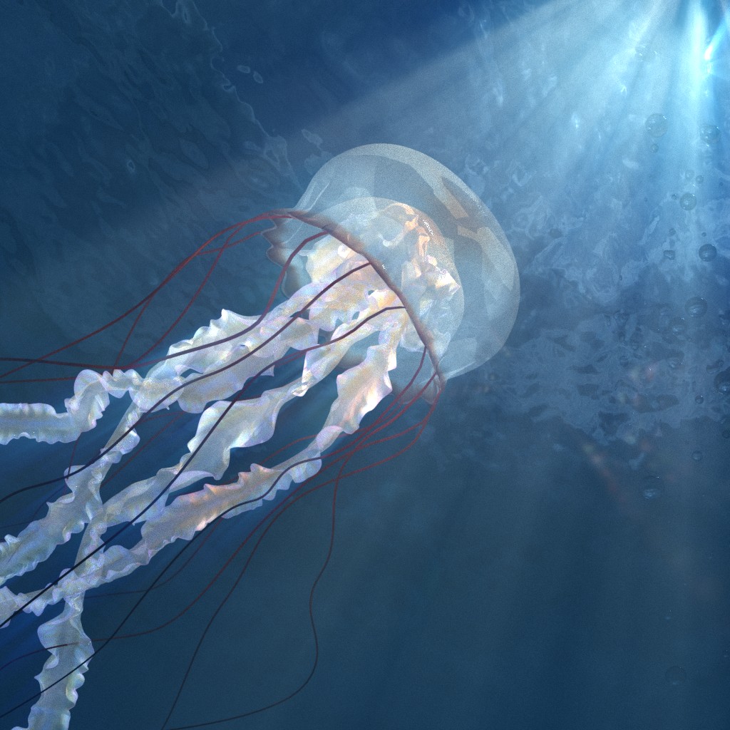 Jellyfish preview image 1