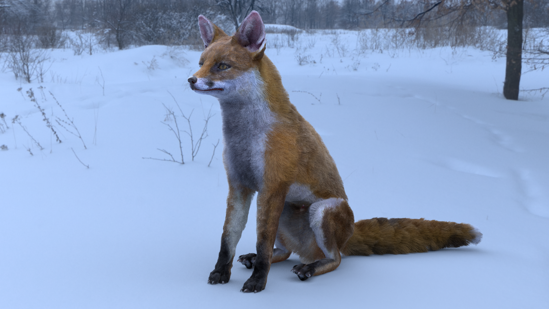Red Fox with fur and Rig preview image 1