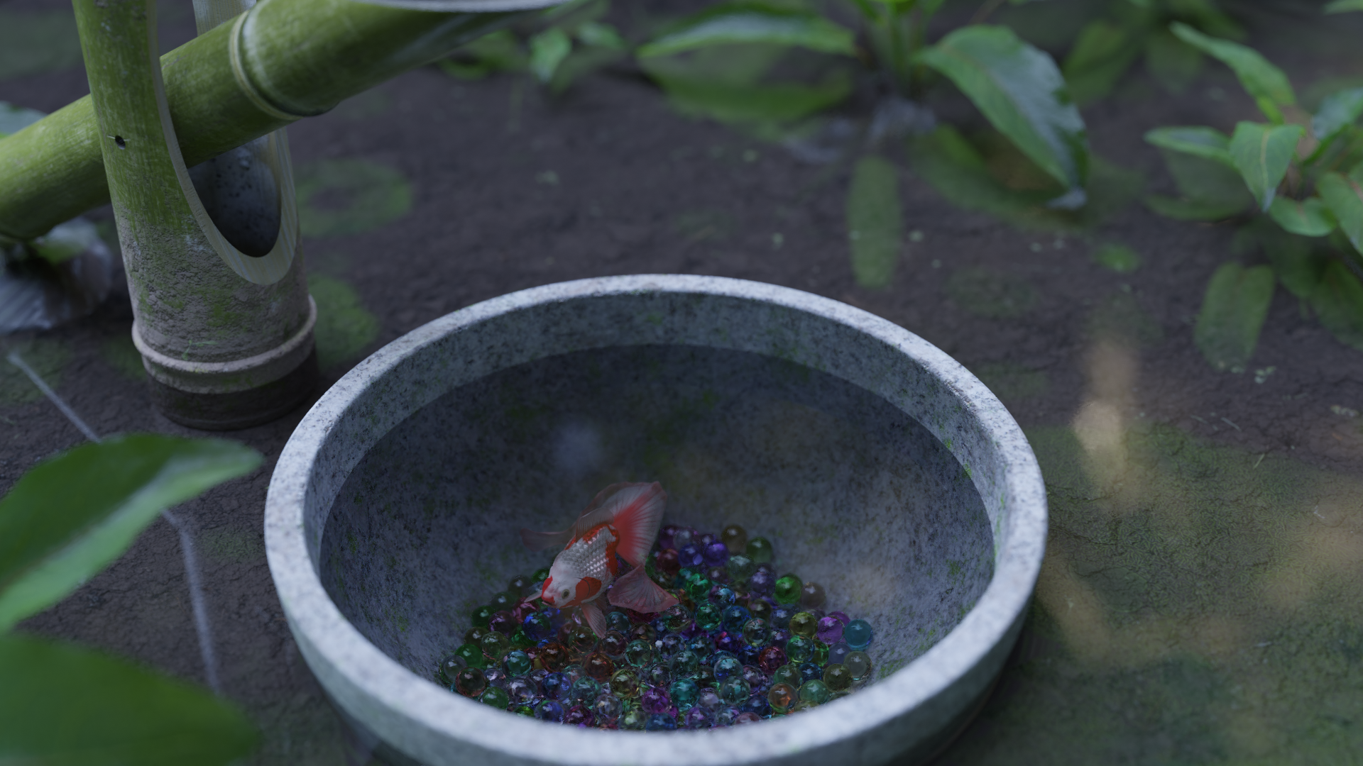 Tosakin goldfish preview image 2