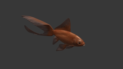 Comet goldfish preview image 2