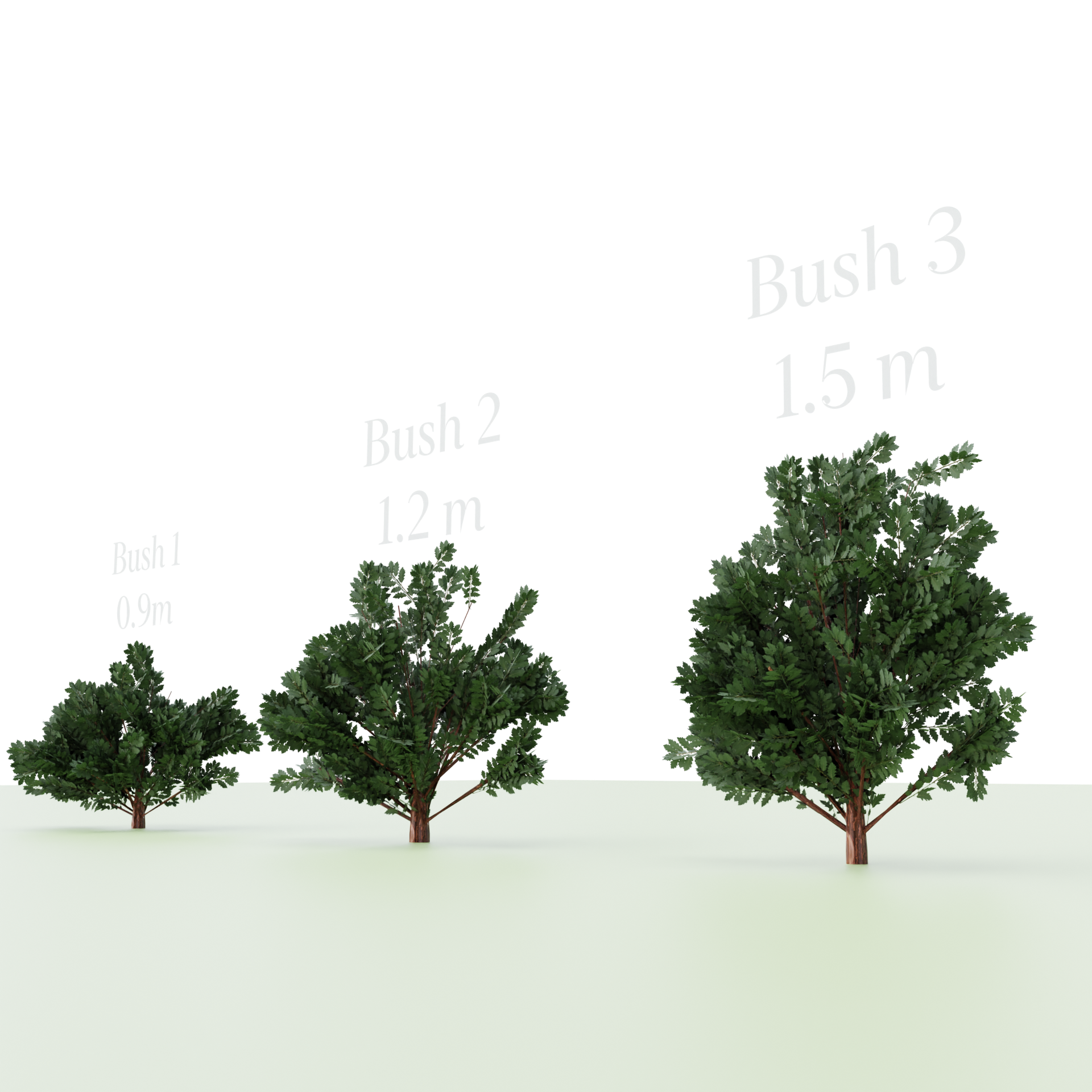 Three Bush's preview image 2