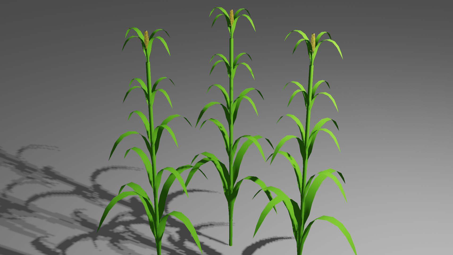 plants preview image 1