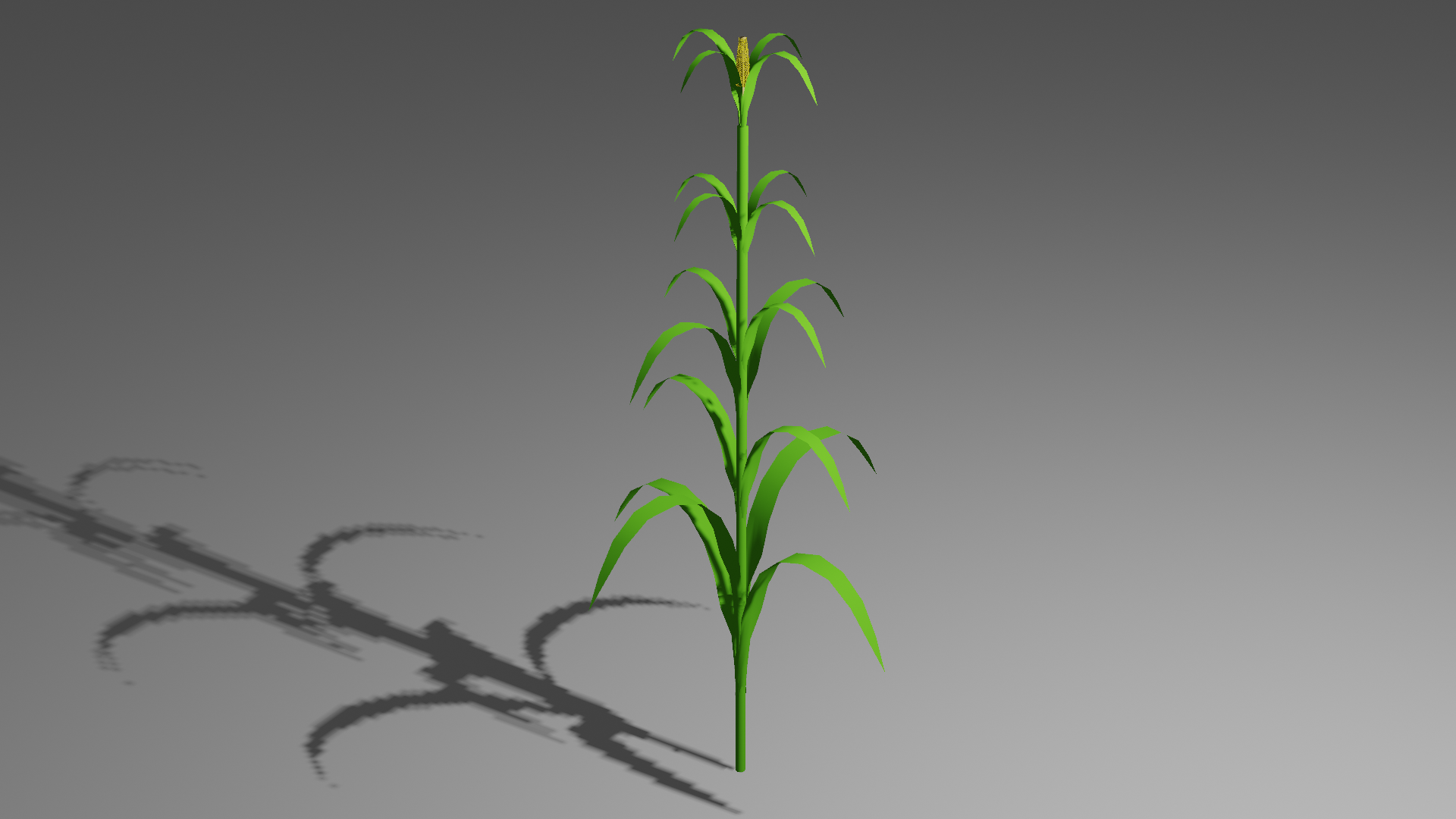 plants preview image 2