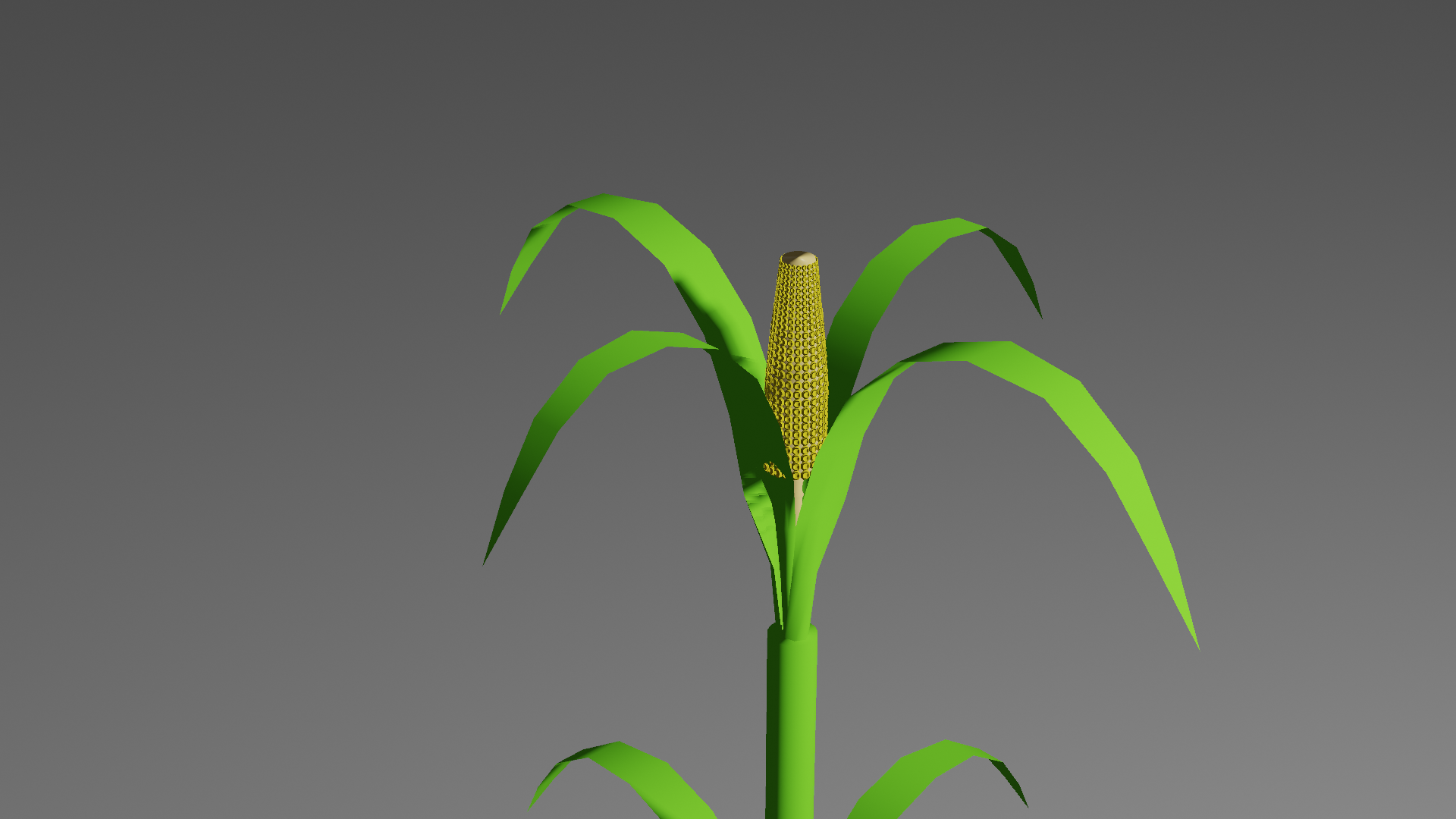 plants preview image 3