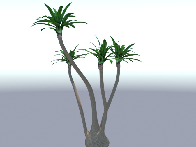 Tall Yucca preview image 1