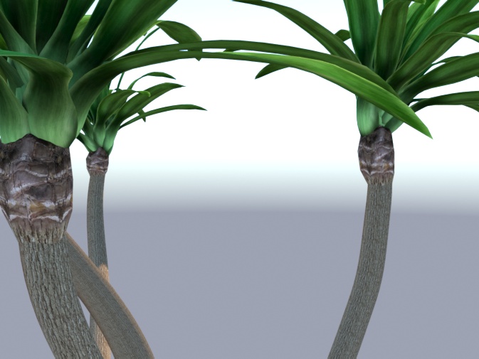 Tall Yucca preview image 2