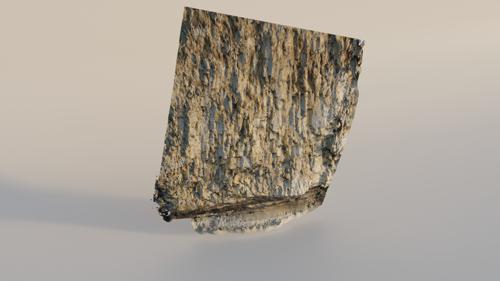 Beach Cliff Face preview image