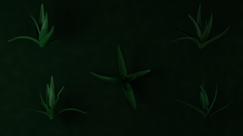 Plant preview image