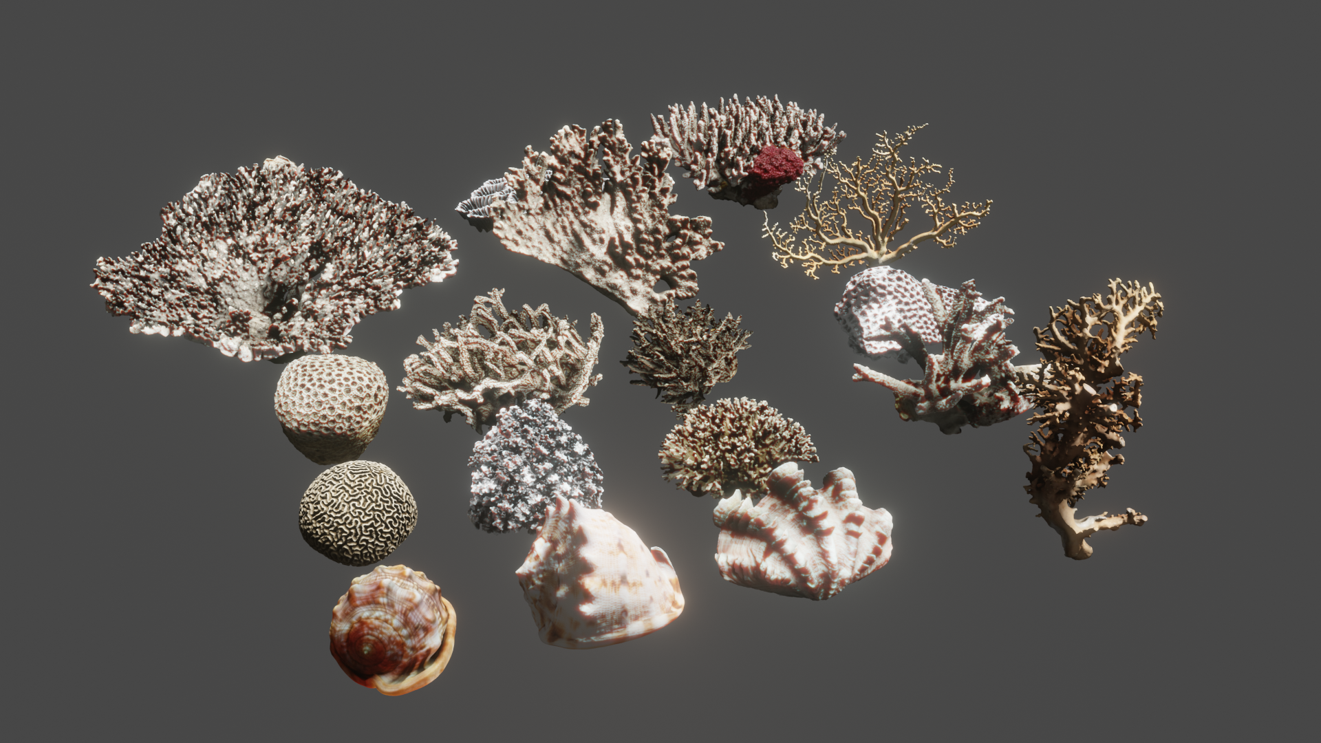 Shivam Singh preview image 1