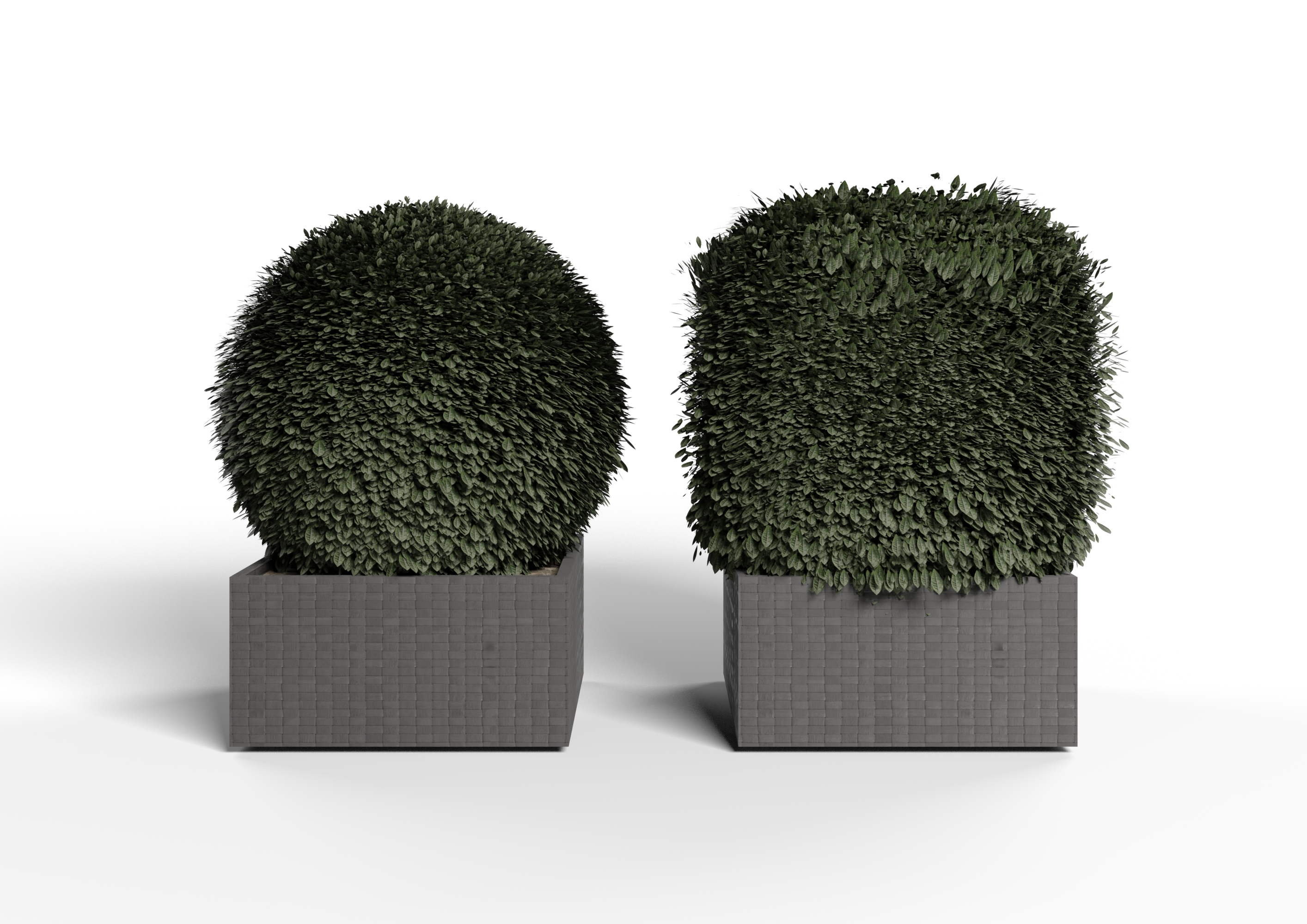 Realistic Bush preview image 1