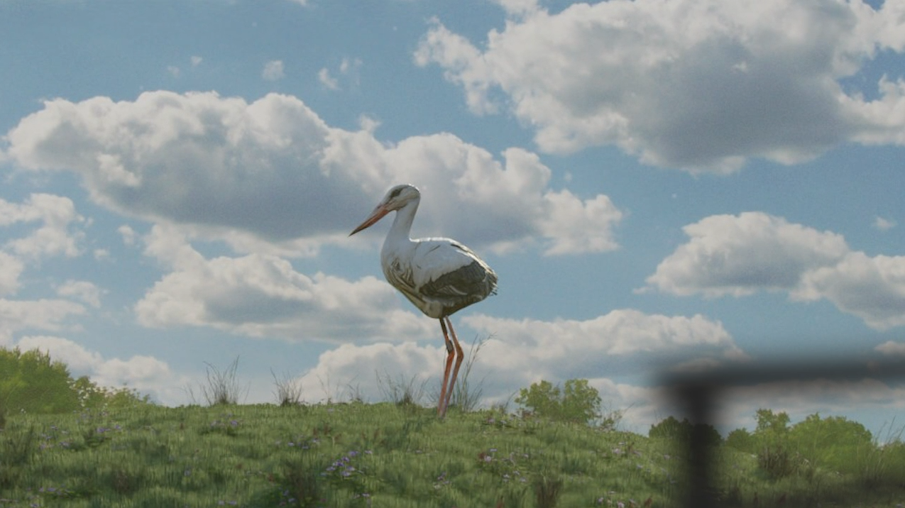 Low Poly Stork / Crane on grass hill preview image 1