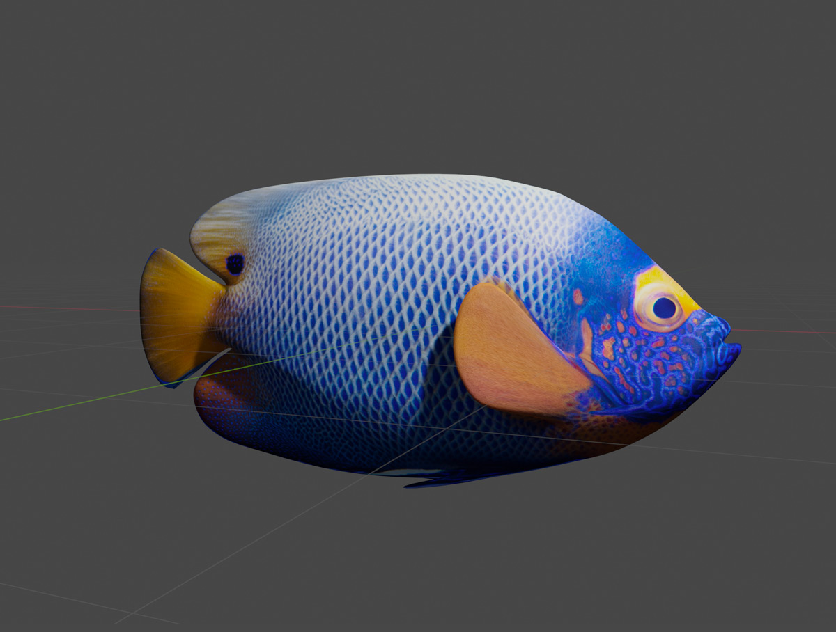Tropical Fish - Blueface Angelfish preview image 1