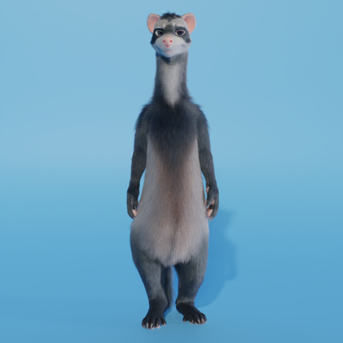 ferret  preview image