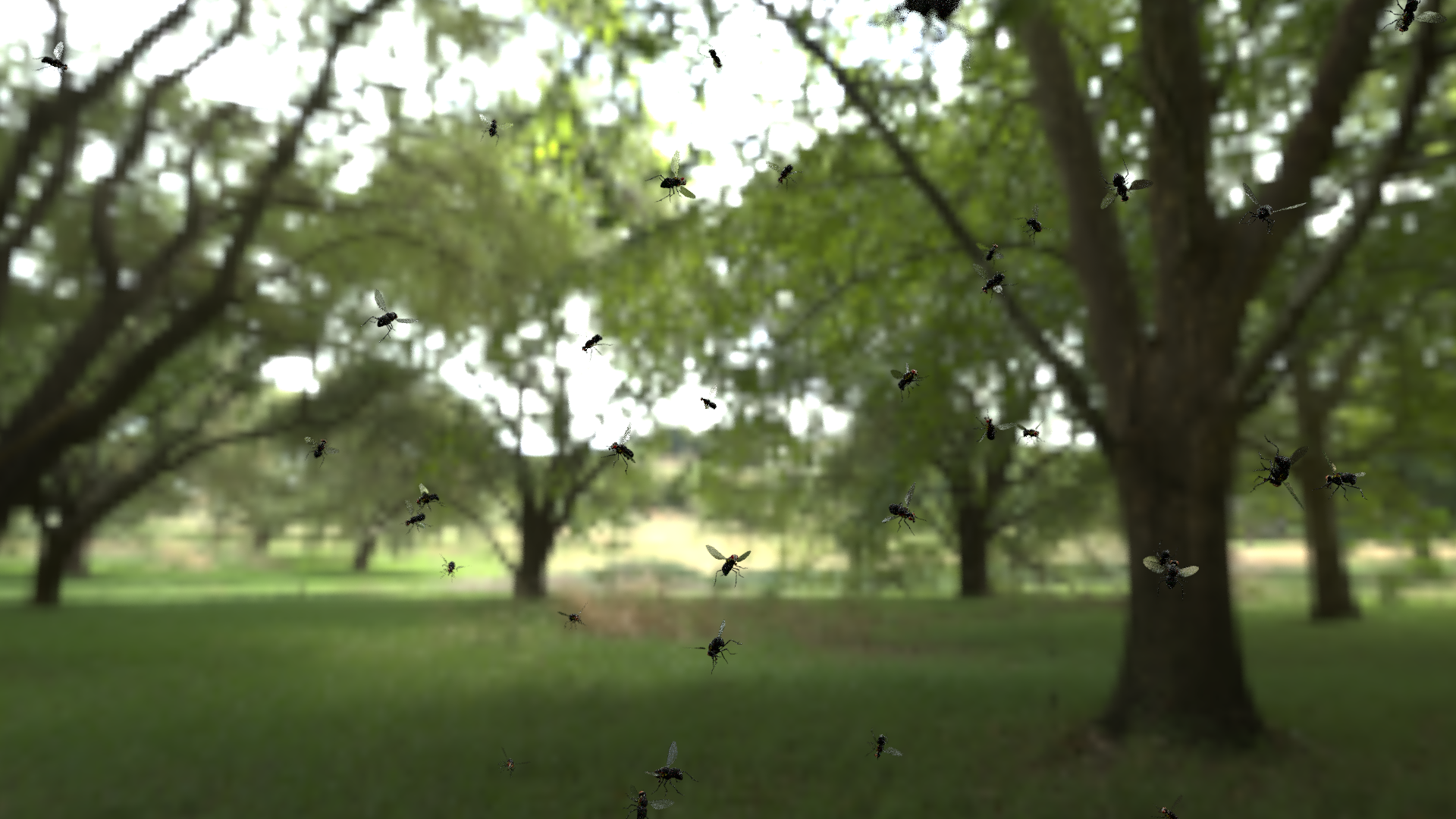 swarming flies  preview image 1