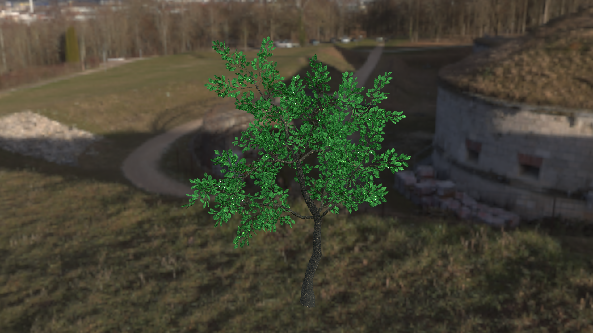 tree preview image 1