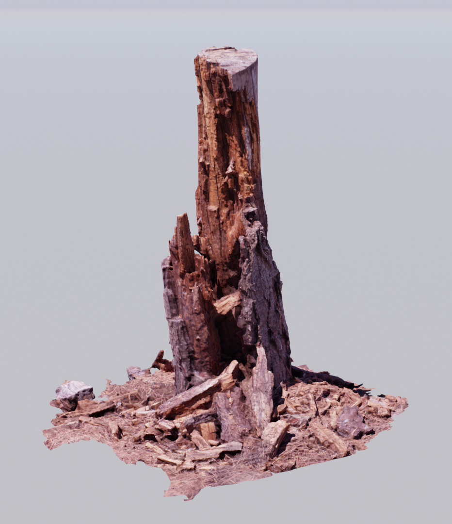 Pine Stump 01 preview image 1