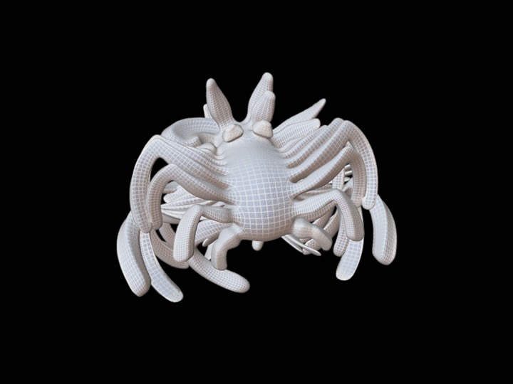 Crura Desiderio preview image 1