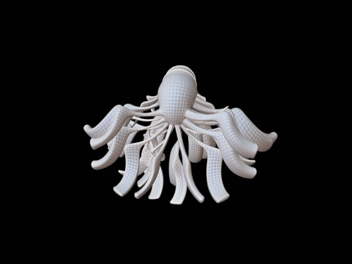 Crura Nuntiuss preview image 1