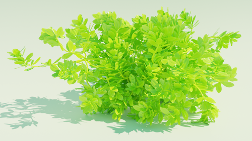 Beach Cabbage Plant (Scaevola Taccada) preview image