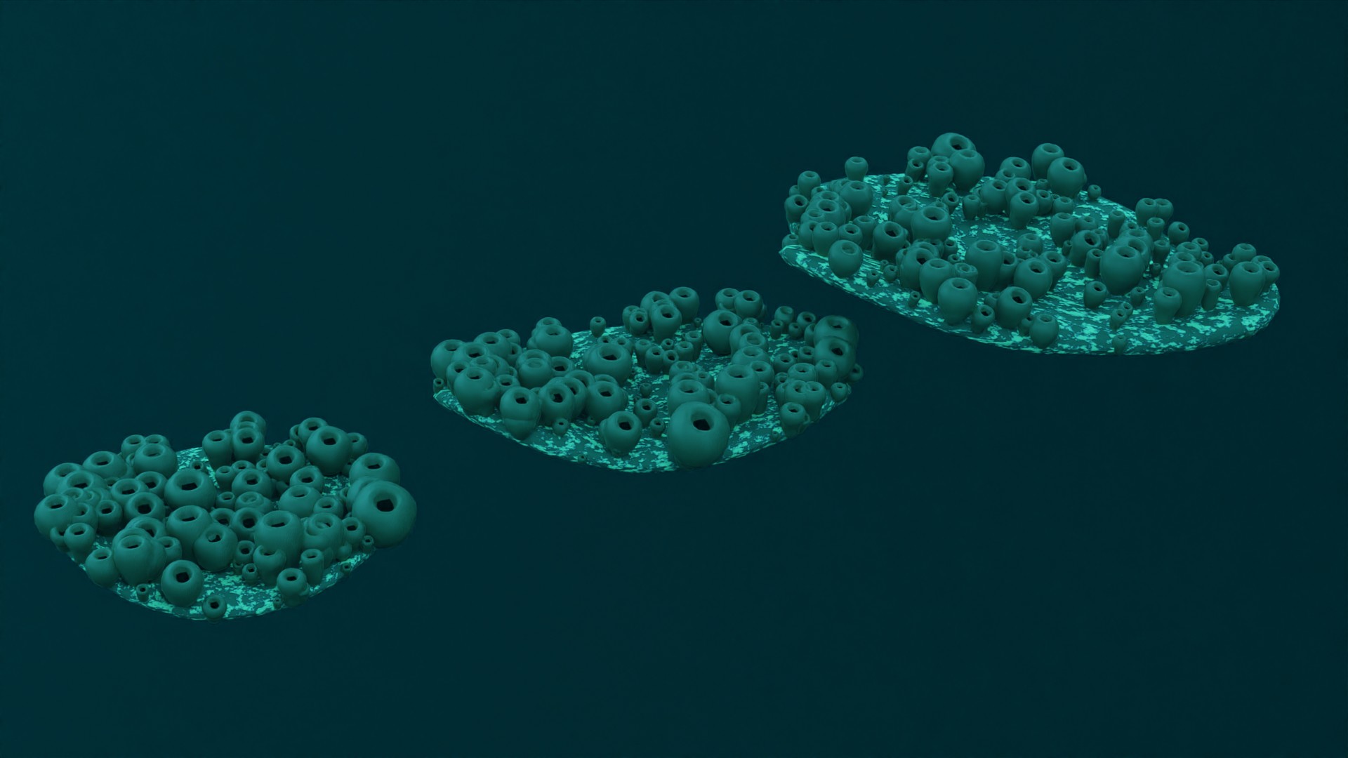 Sea life preview image 3