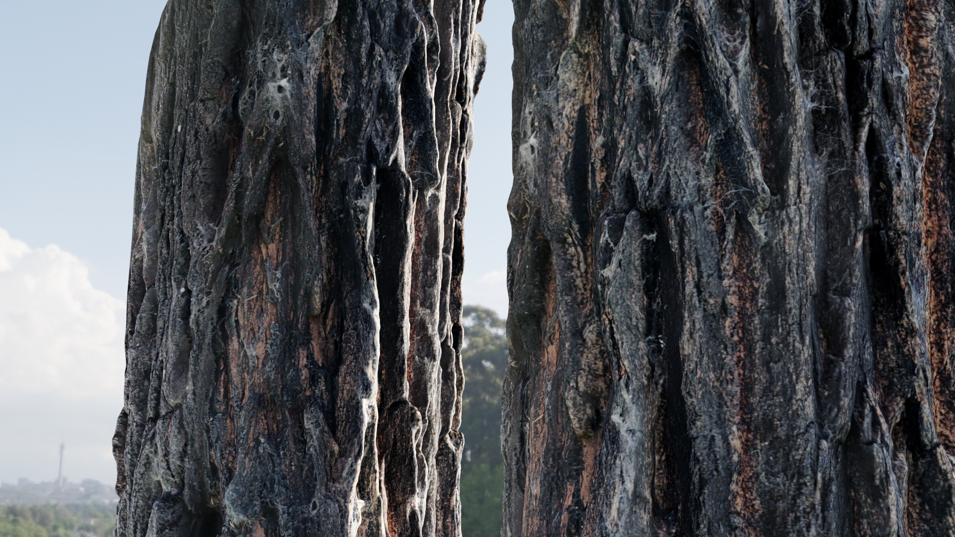 Burnt Tree Bark preview image 1