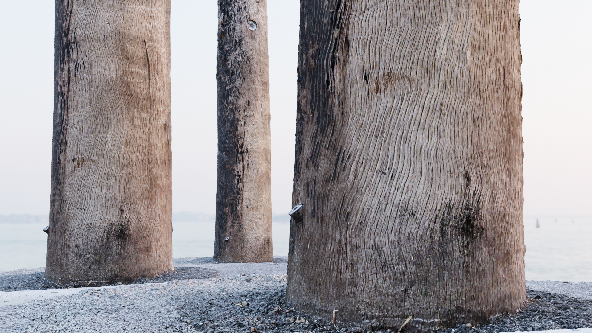 Utility/Power Pole (Low Poly & High Poly) preview image 1