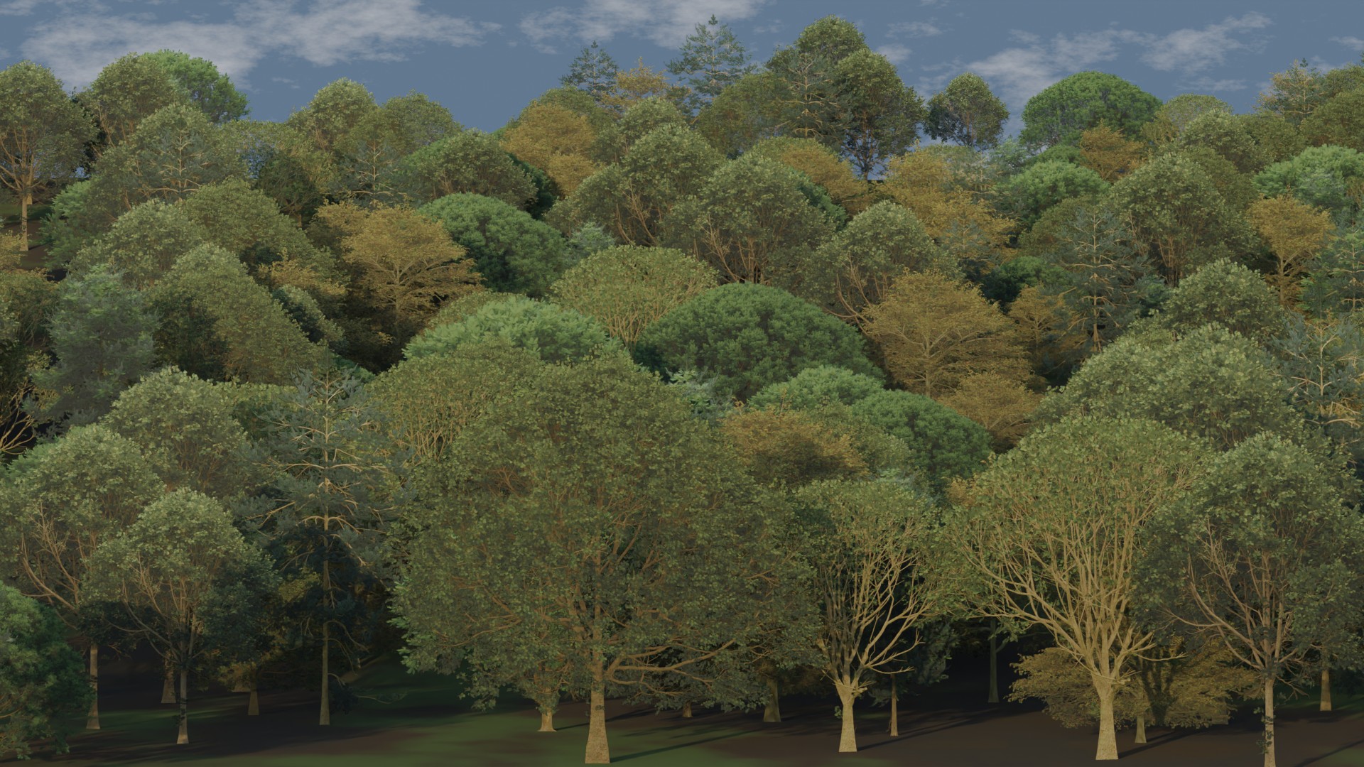 2D Trees and bushes preview image 1