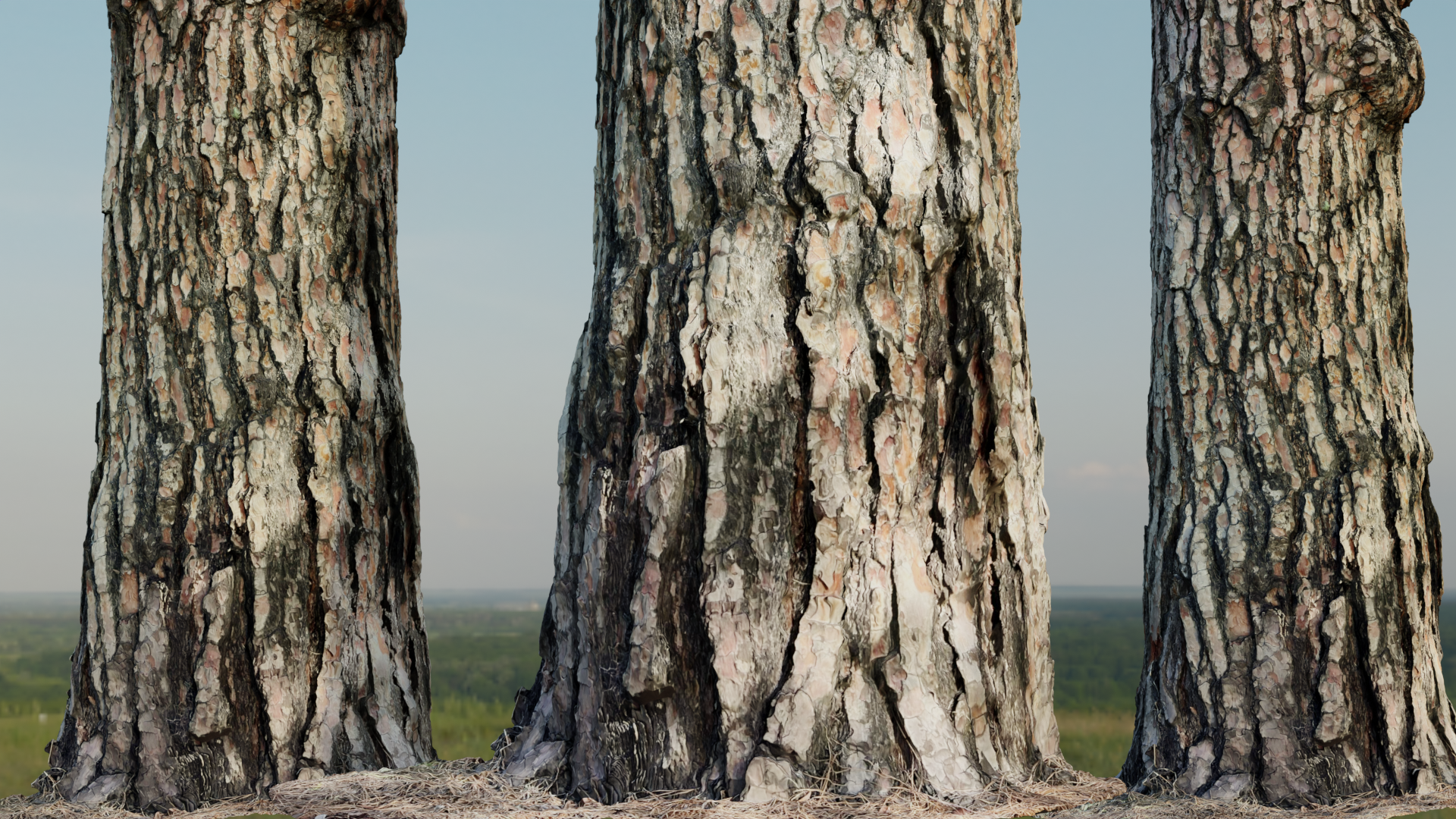 Pine Tree Base preview image 1