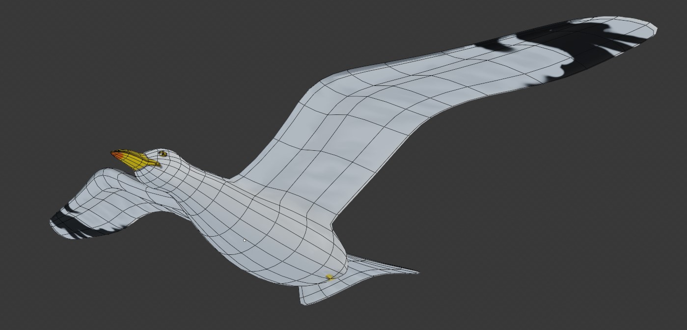 Seagull preview image 4