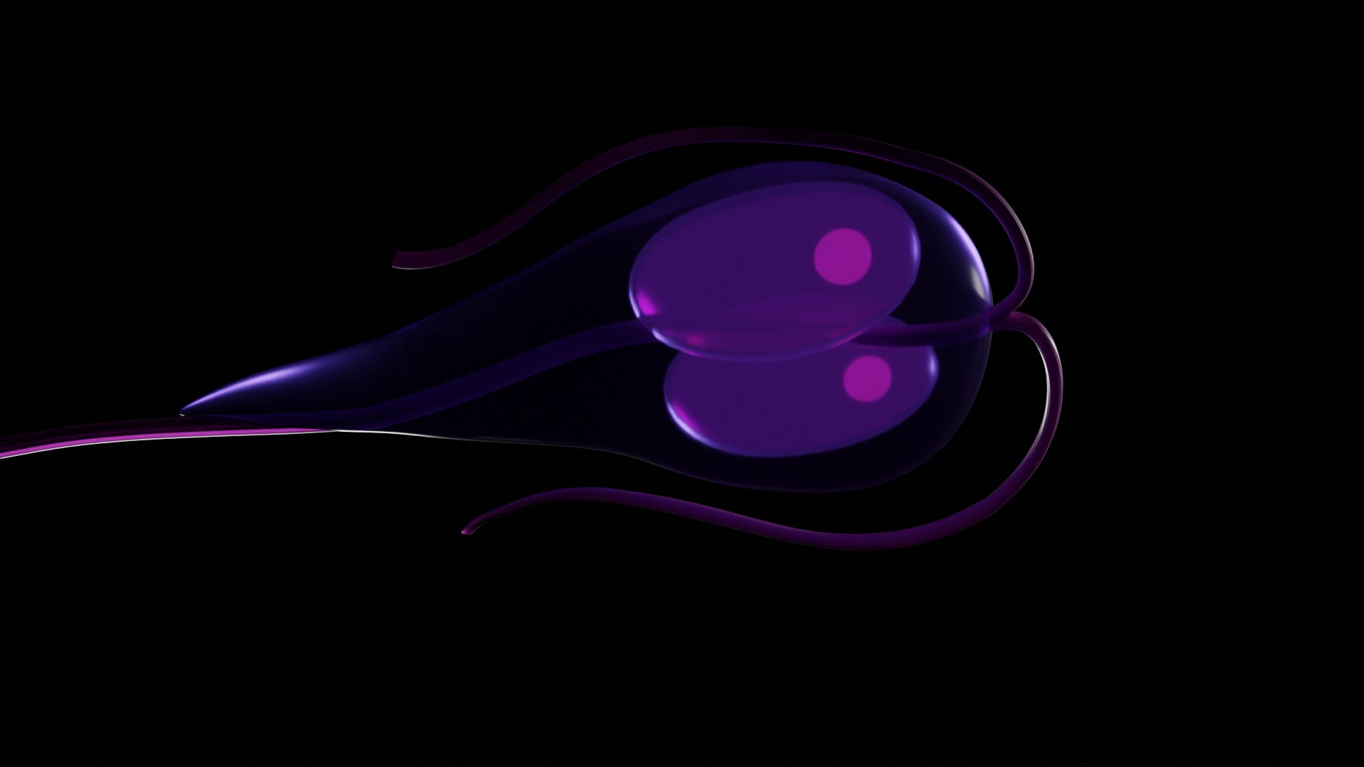 Giardia parasite preview image 1