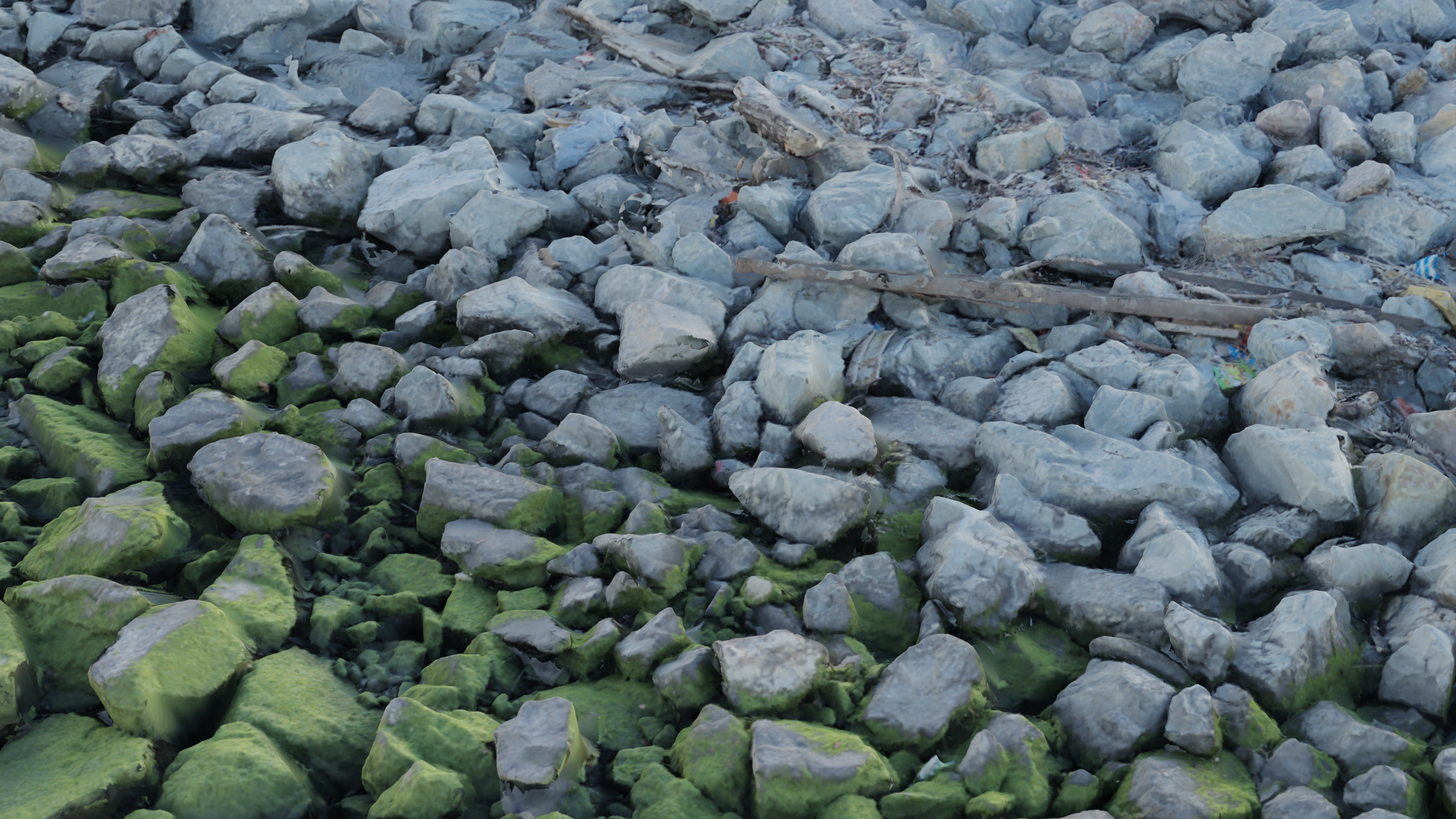 Mossy Rock Shore preview image 1