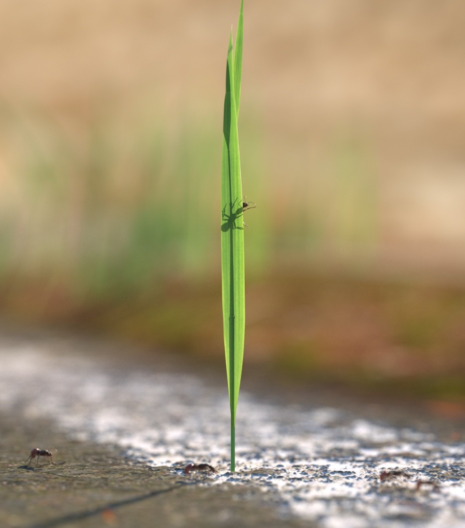 Blend Swap Grass Blade