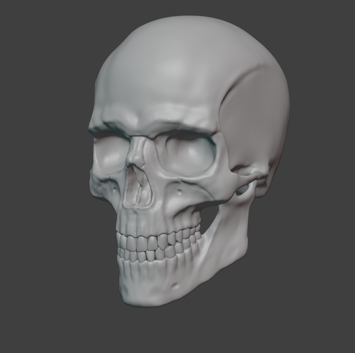 Human skull male preview image 2