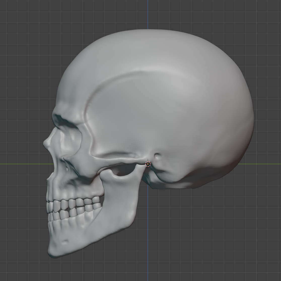 Human skull male preview image 3