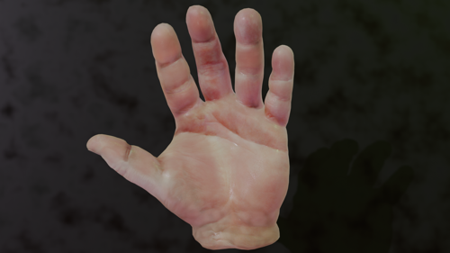 Accurate Hand Rigg preview image