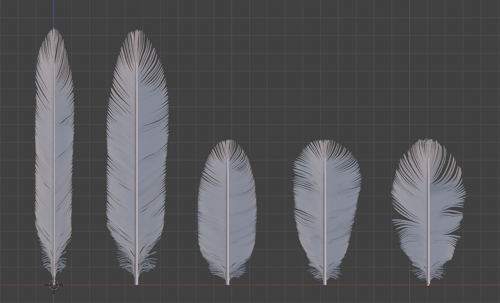 Feather for bird preview image