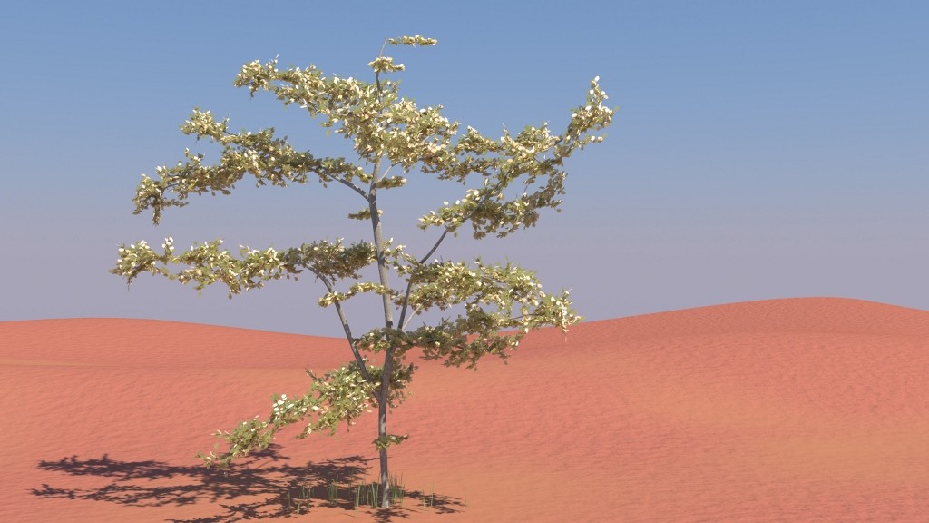 Tree preview image 1