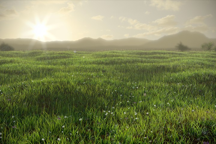 Grassy Field preview image 1